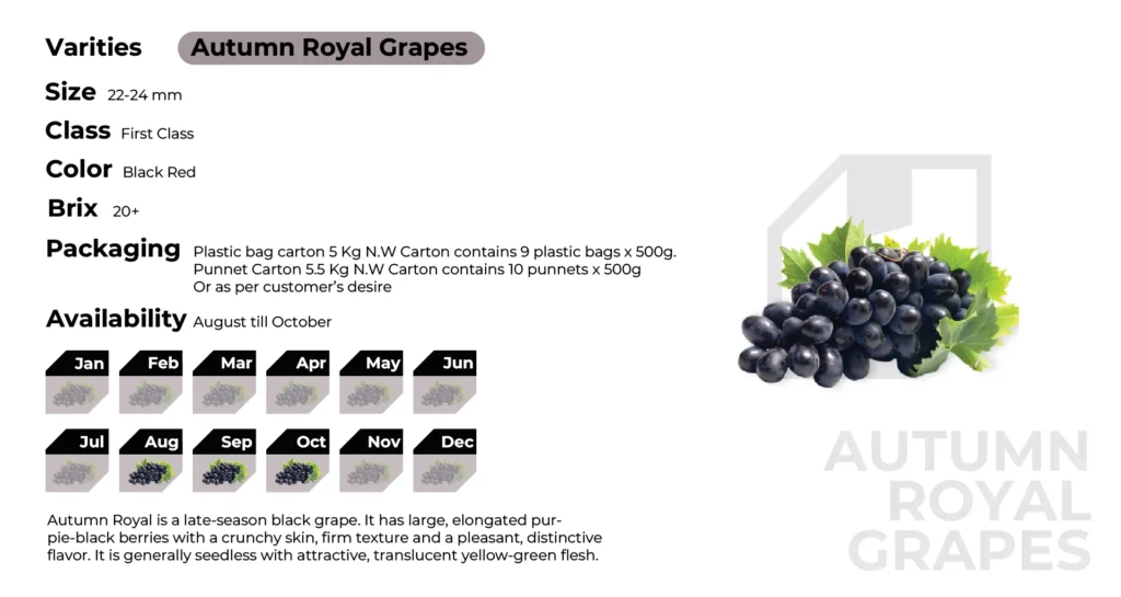 branded autumn royal grapes.png