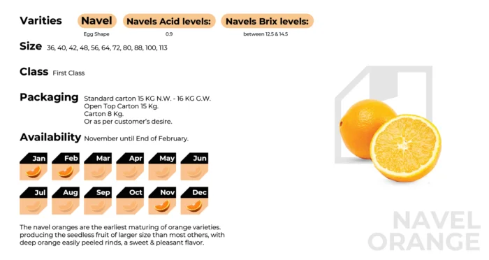 branded navel orange 700x372.png