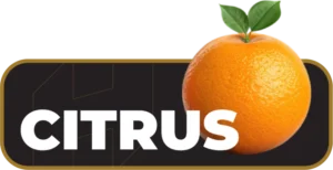 citrus 860x441.png
